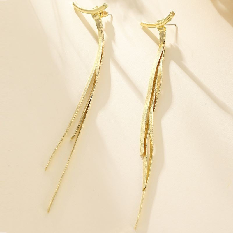 Tassel Earrings With Female Instagram Style Minimalist Design, Long Snake Bone Chain Earrings, Internet Famous Earrings